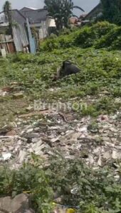3. Investasi Lahan 1001 m2 Cibeureum, Desa Mekar Mukti, Cikarang